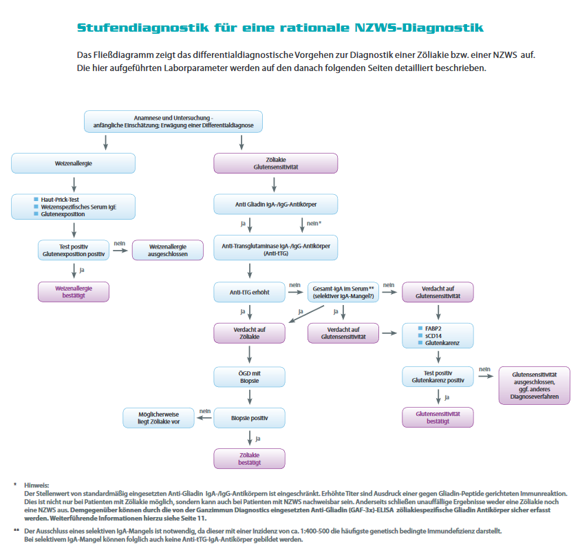 Diagnostischer Leitfaden bei Gluten- und Weizenunverträglichkeit