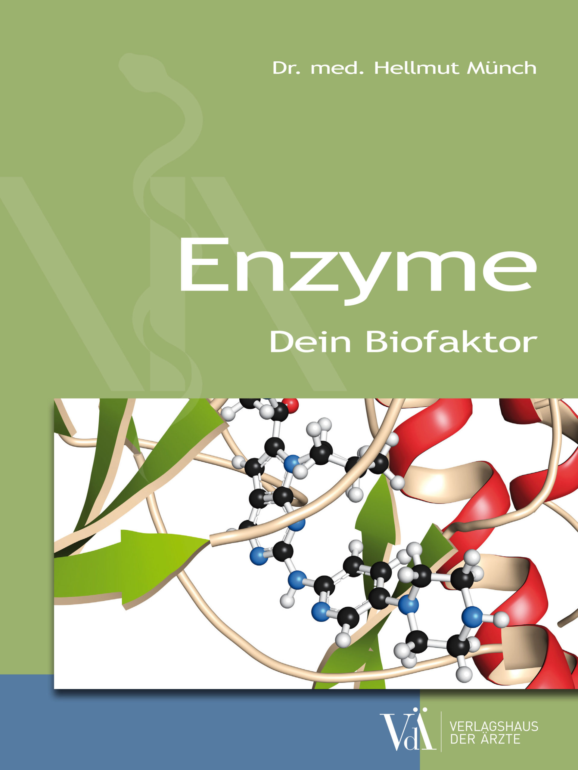 Buchtitel: Enzyme - Dein Biofaktor