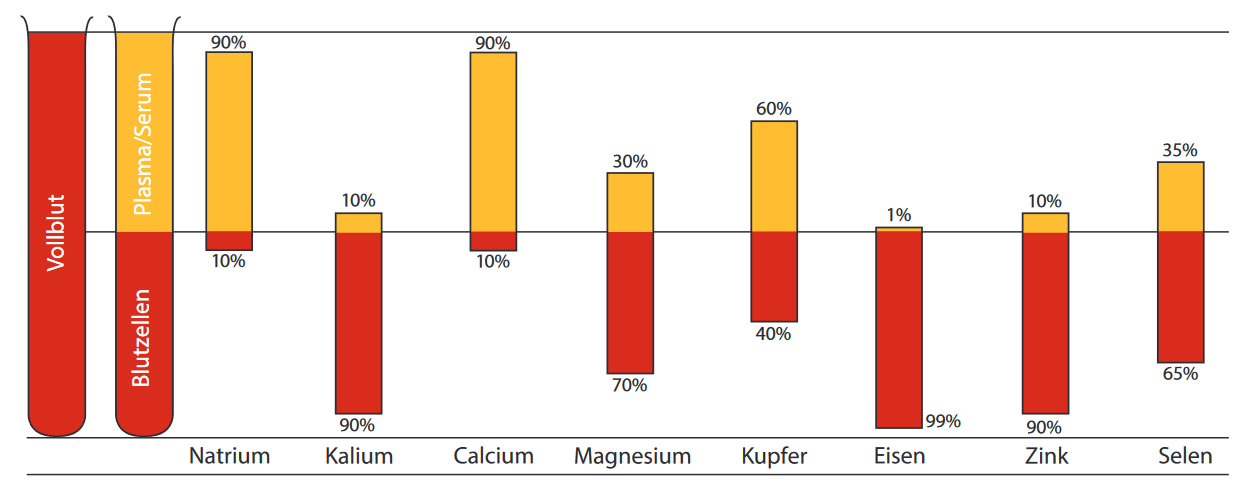 Verteilung Mikronährstoffe in Blutzellen und Plasma