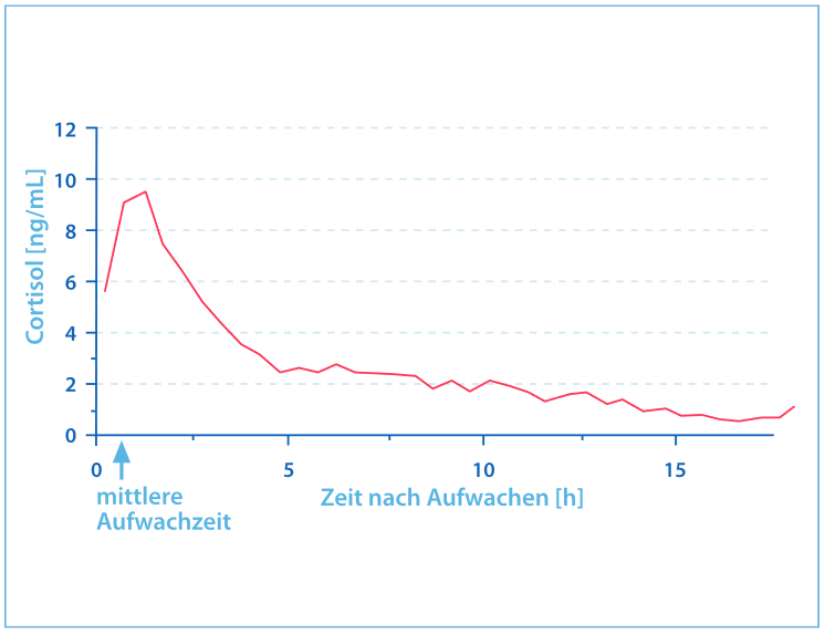 Cortisol Test (Tagesprofil) – esantera