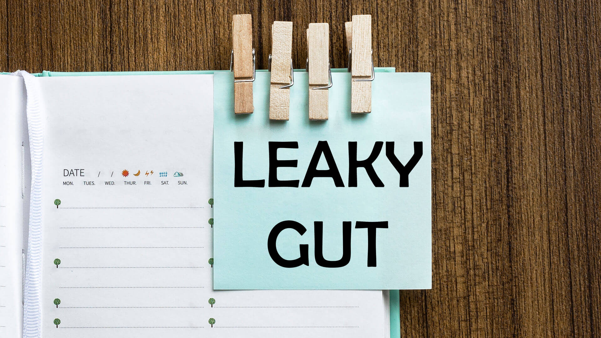 Leaky gut effektiv testen