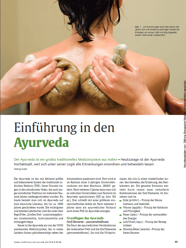 Fachartikel Einführung in den Ayurveda