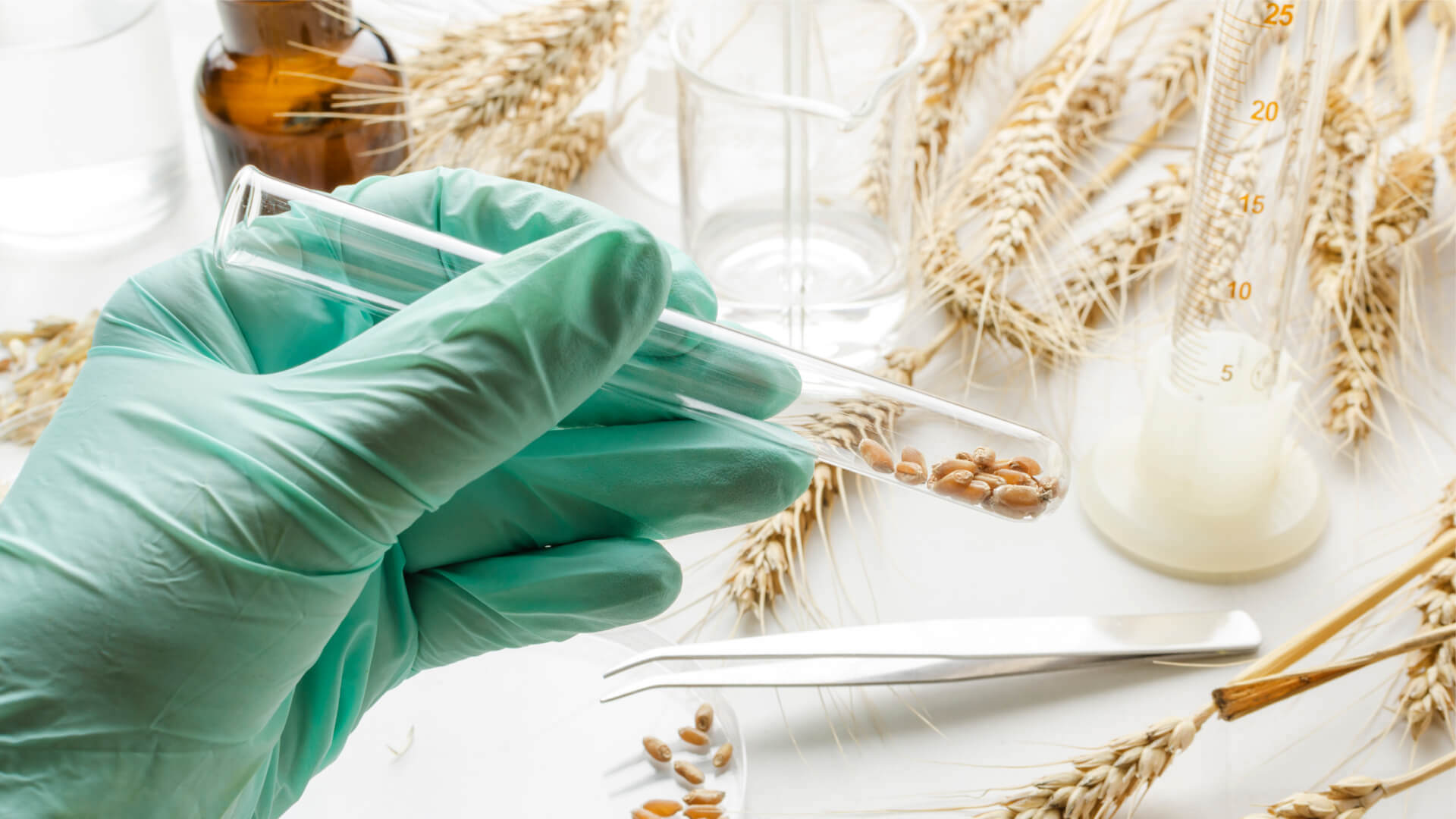 Unverträglichkeit gegen Gluten oder Weizen? Diese Tests helfen weiter